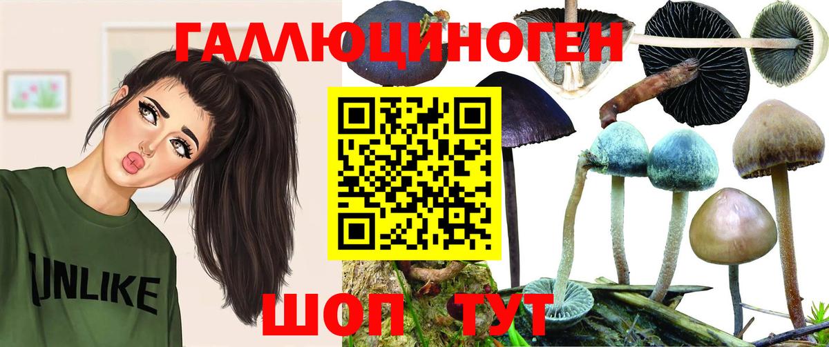 Галлюциногенные грибы MAGIC MUSHROOMS Семилуки